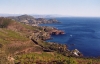 esterel3.jpg